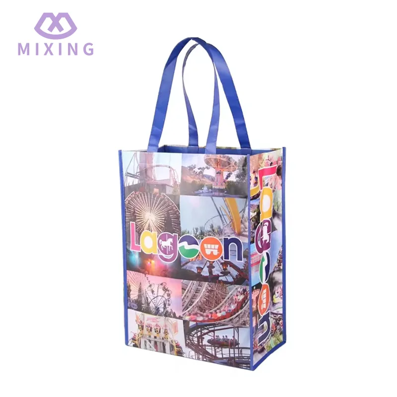 PP Woven Grocery Shopping Bag